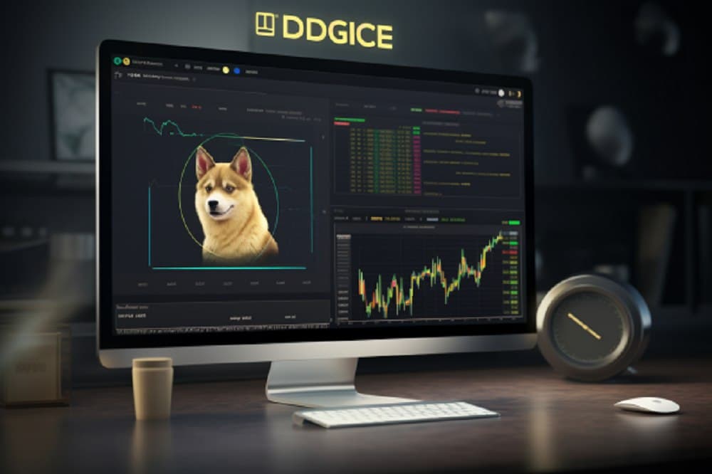 Dogecoin Price Gains 12% in 24 Hours: Here's What To Know