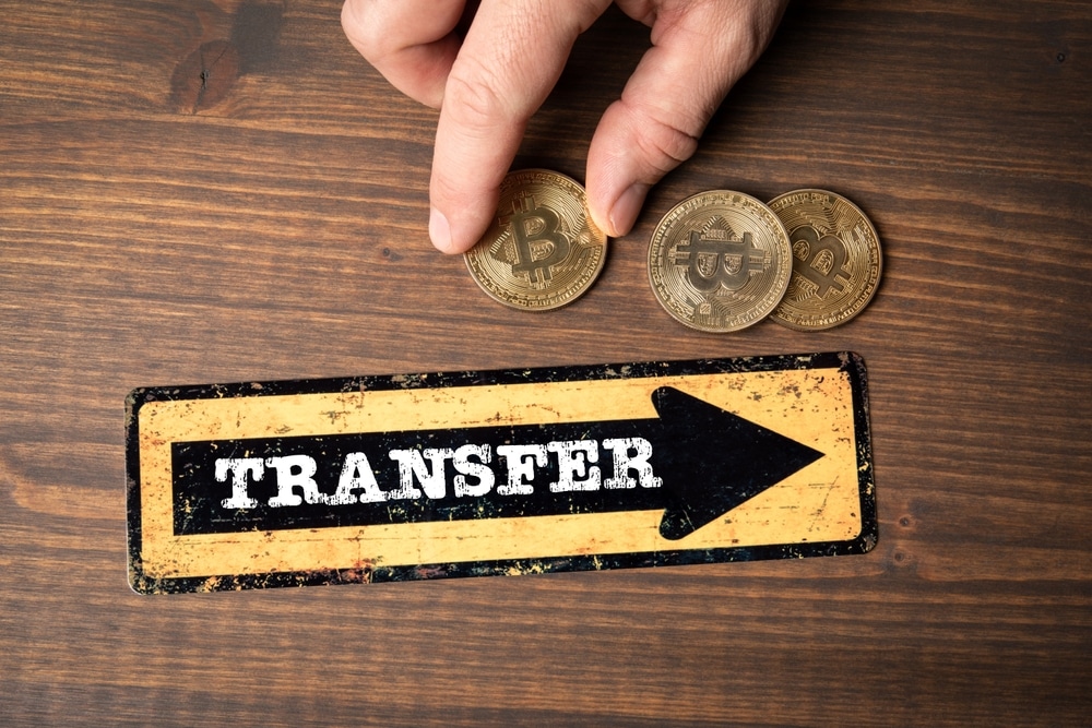 Satoshi-Era Bitcoin Whale Moves Coins Worth $850K After 15 Years
