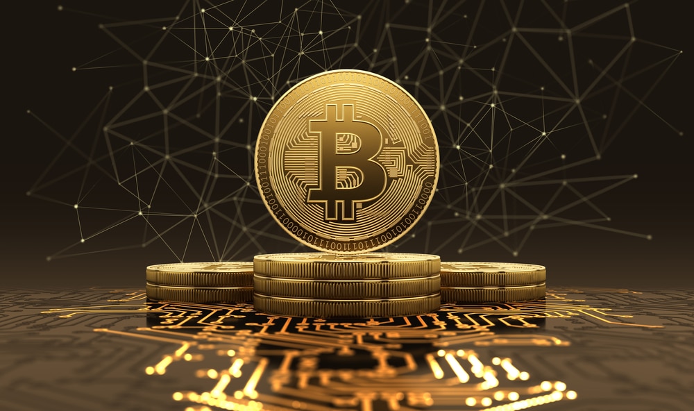 Bitcoin Wallets Surge: Investors Drive Up BTC's Price